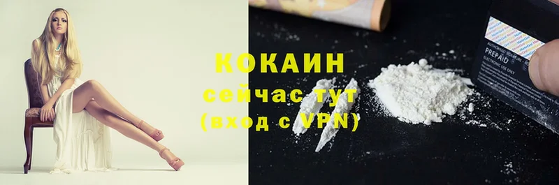 где можно купить наркотик  Менделеевск  Cocaine Fish Scale 