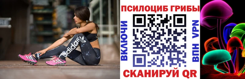 Псилоцибиновые грибы Psilocybine cubensis  Менделеевск 