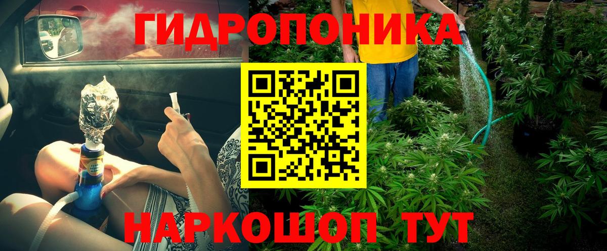 Конопля сатива  Вход с VPN  Бошки Шишки план  Менделеевск 